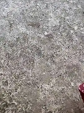 Snapshot of play_boy-raj007 chatting on 2, 11, 2025 play boy-raj007 online show from 2, 11, 2025