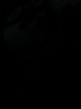 Playboyx143xh online show from 14, 12, 2025