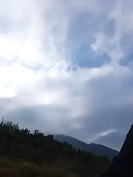 siusiu-00 online show from 22, 11, 2025