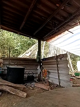 -Kem-01 online show from 26, 2, 2026