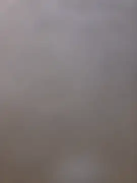 shainnfk online show from 5, 3, 2026