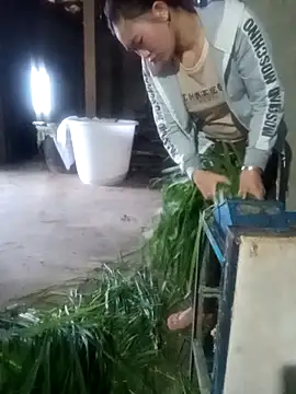 Myzak- online show from 12, 2, 2026