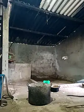 Myzak- online show from 26, 2, 2026