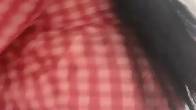 lsevenlll online show from 28, 11, 2025