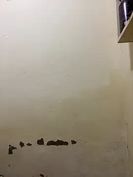 yoryy07 online show from 14, 3, 2026