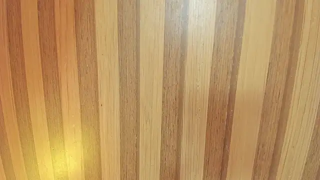 mia  blaze   online show from 6, 2, 2026