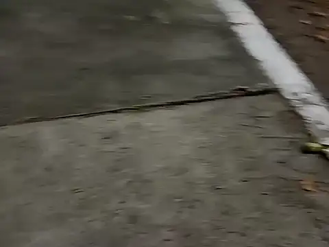 roludao fun online show from 4, 12, 2025