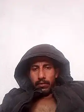 Orlao25cm online show from 29, 11, 2025