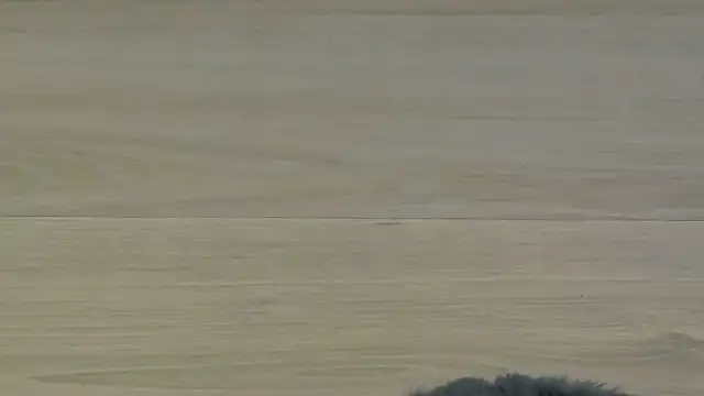 KimWilmes online show from 14, 12, 2025