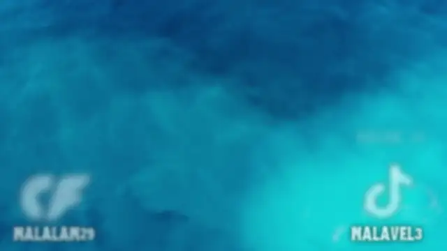 Nalan   online show from 10, 2, 2026