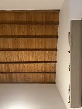 valeriahornier online show from 6, 3, 2026