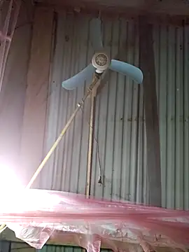 Squirrel-Pear online show from 4, 12, 2025