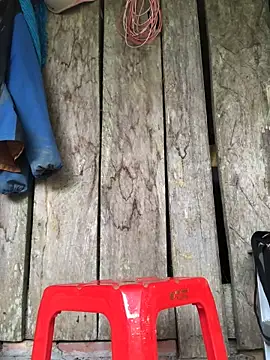 Kylie beem online show from 15, 3, 2026