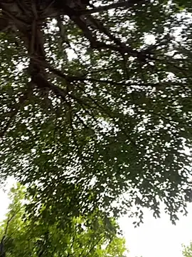 Snapshot of yiyi930316 chatting on 2, 11, 2025 yiyi930316 online show from 2, 11, 2025