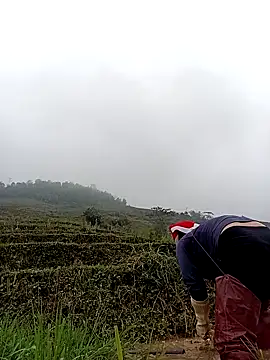 kokoto-59 online show from 11, 3, 2026