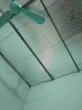  LAN  online show from 24, 10, 2025