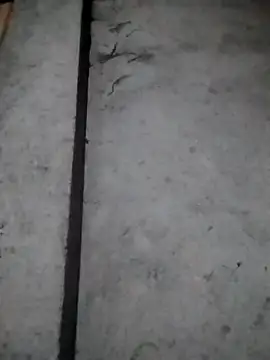 rickkis2k online show from 16, 12, 2025