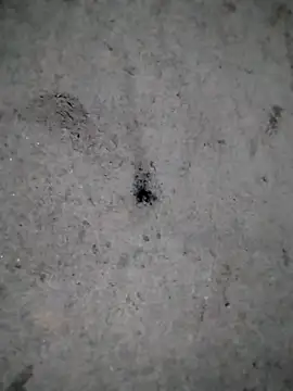 rickkis2k online show from 21, 12, 2025