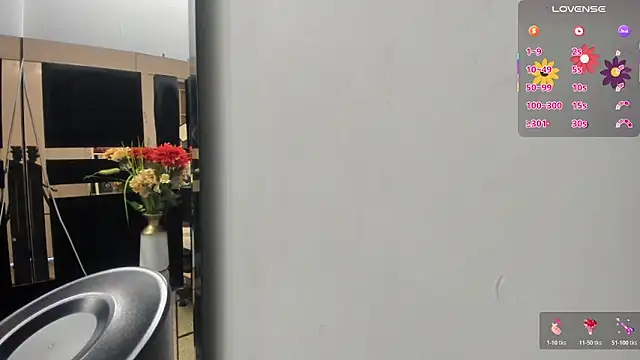 mirandaduboiss online show from 27, 2, 2026