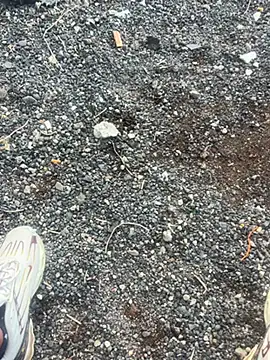 Rico1 1 online show from 18, 11, 2025