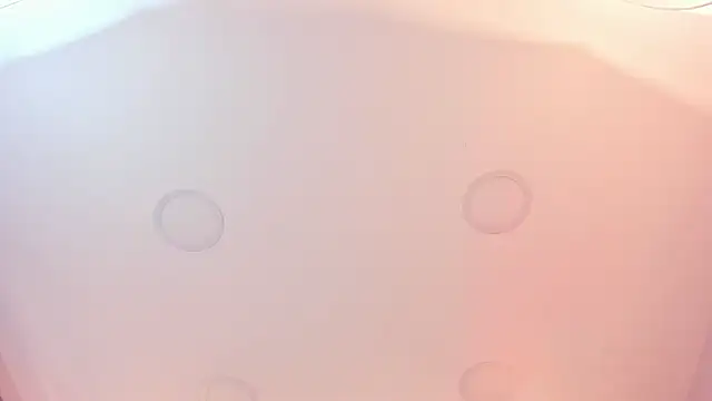 Snapshot of thara__smith chatting on 25, 10, 2025 thara  smith online show from 25, 10, 2025