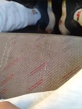 Snapshot of 666Daemon666 chatting on 17, 1, 2026 666Daemon666 online show from 17, 1, 2026