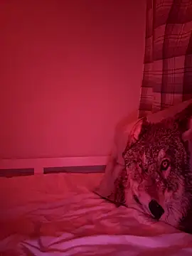 Janekat online show from 6, 2, 2026