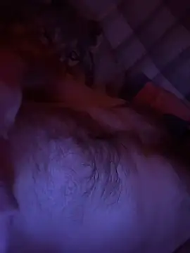 Janekat online show from 18, 2, 2026