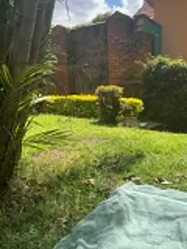 BubblesLovexox online show from 1, 4, 2026