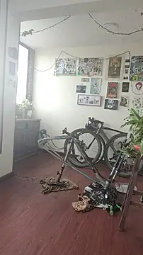 Neciaa online show from 8, 4, 2026