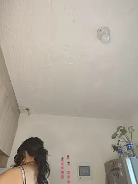 Neciaa online show from 28, 4, 2026