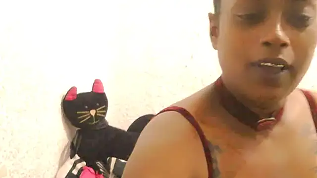 DOVE85 online show from 15, 12, 2025