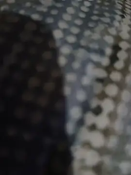 Piope1984 online show from 28, 10, 2025