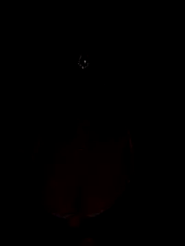 Mampykolkata online show from 15, 11, 2025