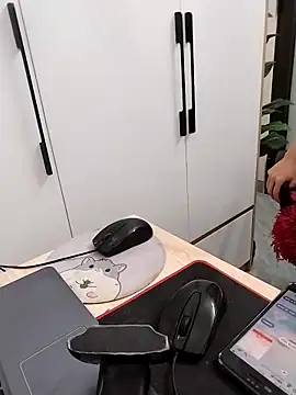 Tammy meri online show from 17, 3, 2026