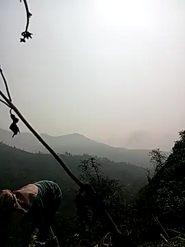 Snapshot of Phoena-a chatting on 3, 4, 2026 Phoena-a online show from 3, 4, 2026