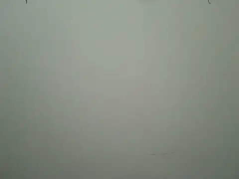 beadfeizi online show from 31, 10, 2025