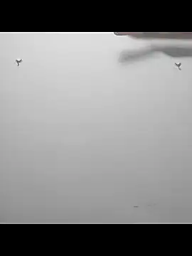 beadfeizi online show from 7, 11, 2025