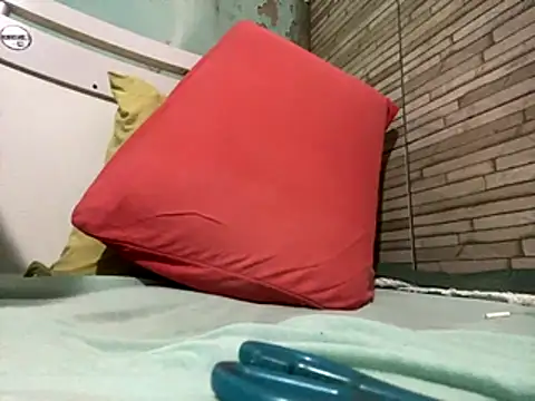 Snapshot of _DignoDePutaria_ chatting on 30, 10, 2025 DignoDePutaria online show from 30, 10, 2025