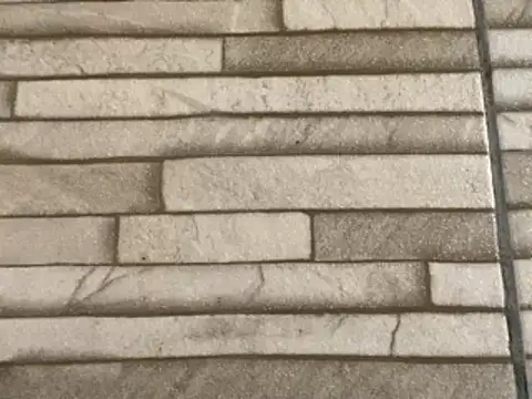  DignoDePutaria  online show from 16, 1, 2026