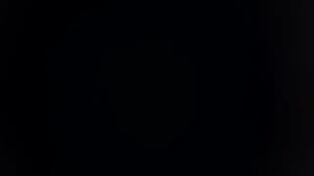 palakmishra033 online show from 12, 2, 2026