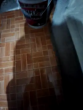 sanz957 online show from 29, 11, 2025