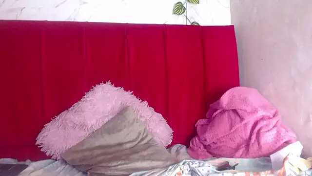 amandacanelacm online show from 1, 2, 2026