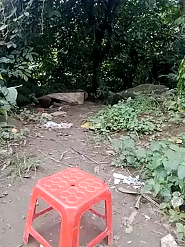 doggy-00 online show from 24, 7, 2026