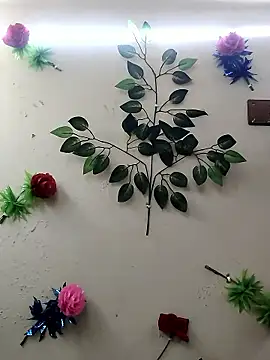 Indian-Glory online show from 14, 1, 2026