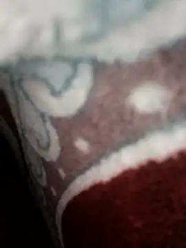 bigtelugubhama online show from 22, 11, 2025