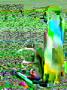 cchairez1188 online show from 29, 10, 2025