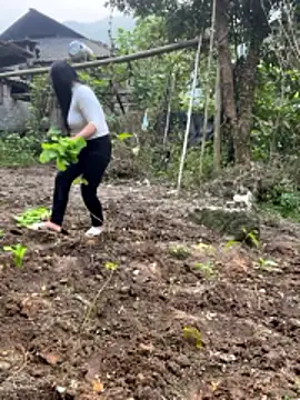 heodat-sexx online show from 20, 12, 2025