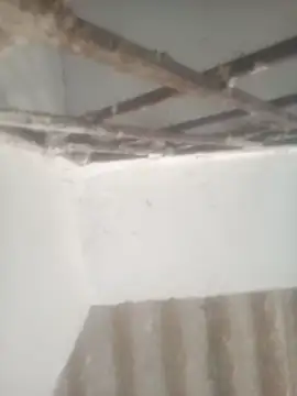 Pallu Asha online show from 28, 4, 2026