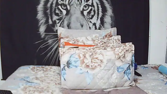 Snapshot of MassiveBoobsxxxx chatting on 4, 2, 2026 MassiveBoobsxxxx online show from 4, 2, 2026